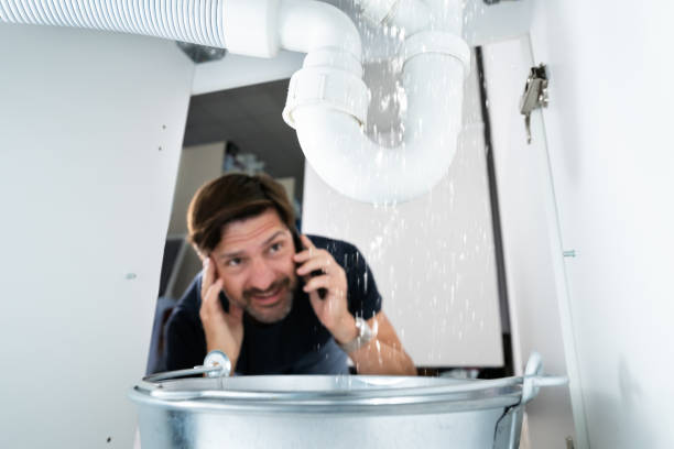 Best Drain Cleaning Services  in Rheems, PA