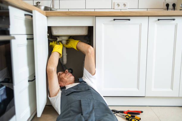 Best Residential Plumbing Services  in Rheems, PA